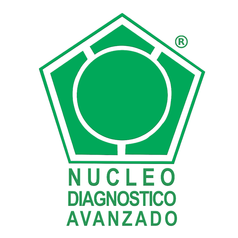 logo núcleo-1